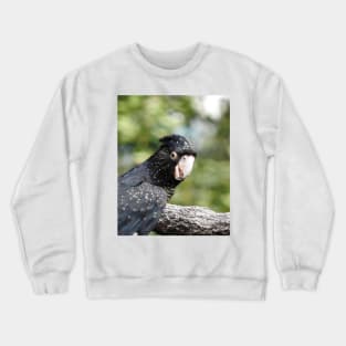 Red-tailed Black Cockatoo Crewneck Sweatshirt